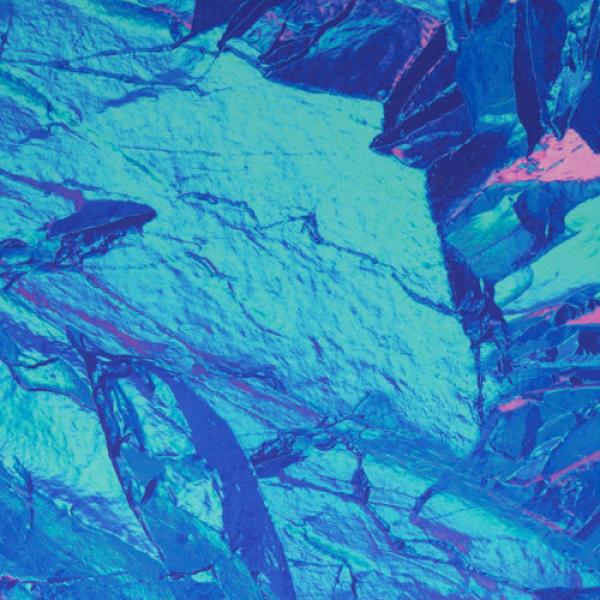 Jersey mit Mustermix Blau/Azur/Rosa Wildlife by Thorsten Berger von Swafing